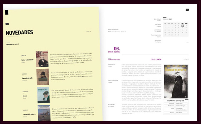 Detectives en la Nea