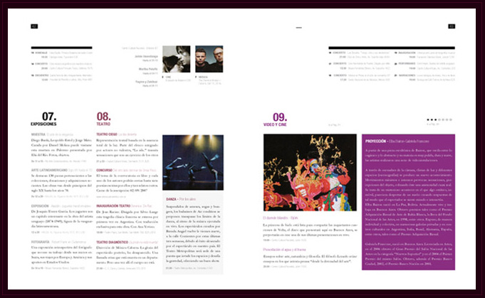 Detectives en la Nea