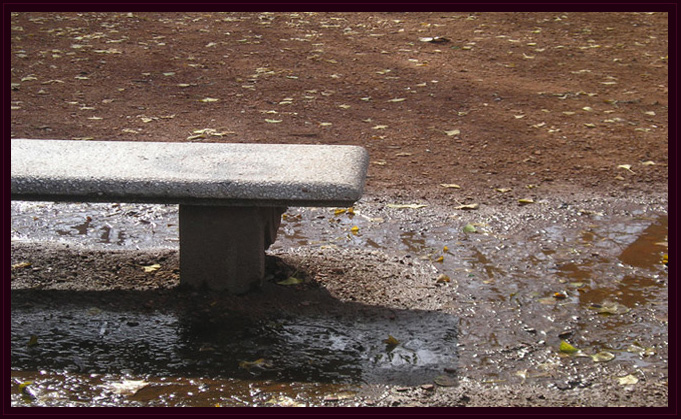 Detectives en la Nea