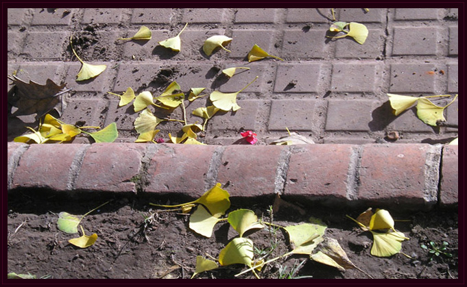 Detectives en la Nea