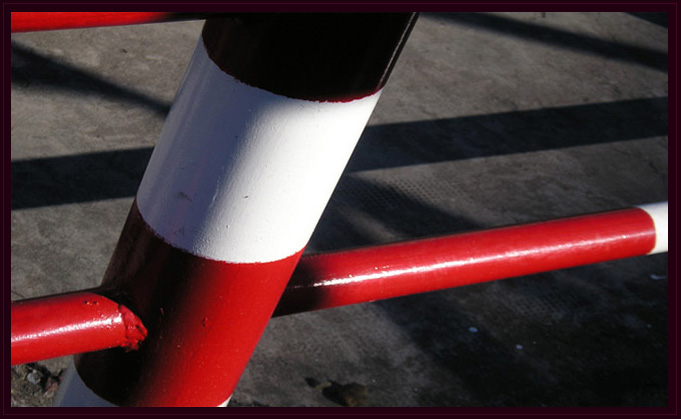 Detectives en la Nea